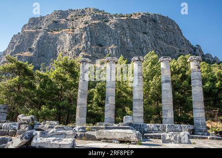 Ruins of the ancient city of Priene, Ionic columns of the Temple of Athena Polias, Söke, Aydın, Turkey. Stock Photo