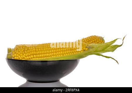 Two ears of sweet organic corn in a black ceramic plate, close-up, on a white background. Stock Photo