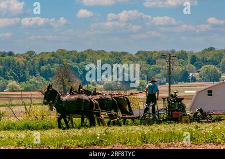 A View of an Amish Farmer Working His Farm Equipment, Being Pulled by Three Horses on a Sunny Day Stock Photo