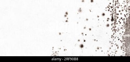 Mold infested wall, banner, background. Concept of the problem of mold indoors on the walls with copy space for text Stock Photo