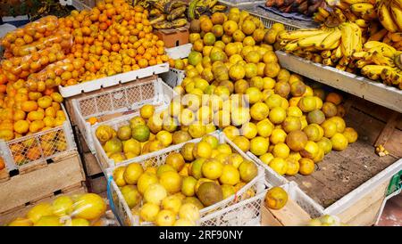 Oranges, nectarines and bananas in a local market, Ecuador. Stock Photo