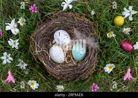 Three Easter eggs in a nest. Stock Photo