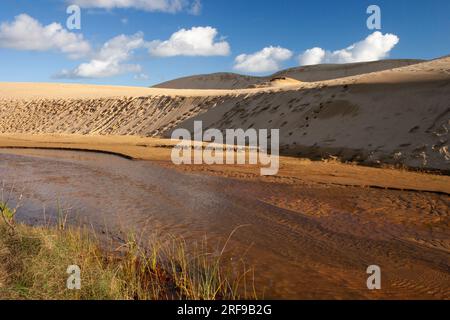 Te Paki sand dunes in Cape Reinga on the North island of New Zealand Stock Photo