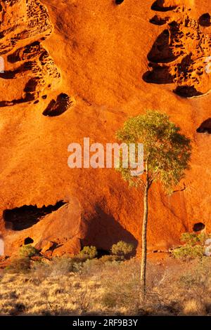 Base walk around Uluru in the red centre of the Northern Territory in Australia Stock Photo