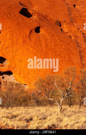 Base walk around Uluru in the red centre of the Northern Territory in Australia Stock Photo