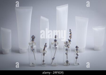 Lavender sprigs in glass test tubes and empty plastic cosmetic tubes staying at gray background, beauty concept of cosmetology, body and skincare Stock Photo
