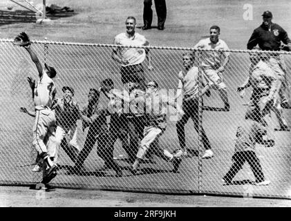 San Francisco, California:  August 6, 1961 Milwaukee Braves' Hank Aaron goes to try and catch a home run ball hit by Matty Alou of the San Francisco Giants. He gets plenty of backing from the bleacherites at Candlestick Park. Stock Photo