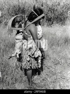 California:  c. 1930 Indian women carried their babies with them as they did their daily work. The women wore a short skirt made of a front and a back apron, which were made of string, tules, or strips of bark or buckskin. Sometimes a deerskin was used for the back piece. Skins were worn over the shoulder in cold weather. Stock Photo