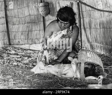 California:   c. 1930 A special cradle was made for each Indian baby. The mother wrapped her baby in a skin blanket and strapped him to the cradle. Babies were kept in their cradles most of the time. Stock Photo