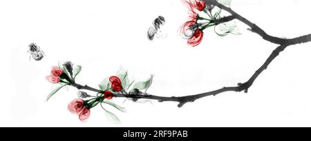 Bumblebees and apple (Malus domestica) blossom, X-ray Stock Photo