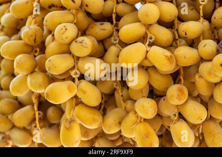 Fresh dates fruit bunch Stock Photo