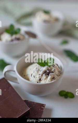 sweet home made straciatella mint ice cream Stock Photo