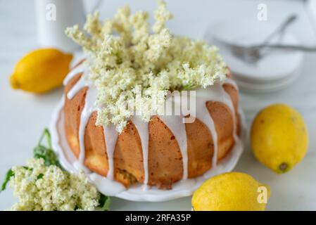 sweet home made elderflower bundt cake Stock Photo