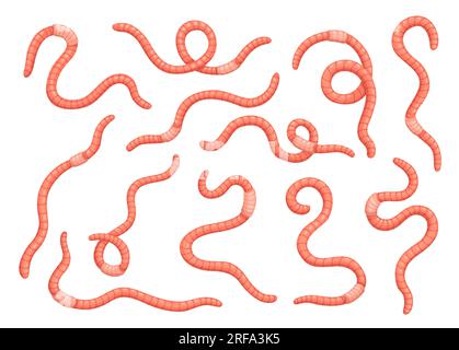 Cartoon worms or soil earthworms, garden ground insects. Vector earth worms and red wigglers set with slimy animals. Organic farm insects for compost production, fishing baits and bio manure themes Stock Vector