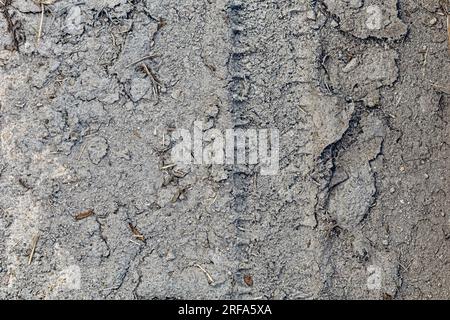 Footprints of the mud wheels are traces. Stock Photo