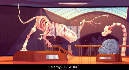 Fossil tyrannosaurus dinosaur skeleton in museum cartoon vector ancient exhibit. Archaeology interior room with pedestal and flying pterodactyl bone i Stock Vector