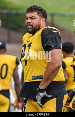 Pittsburgh, Pennsylvania, USA. 25th Dec, 2022. December 24th, 2022  Pittsburgh Steelers defensive tackle Cameron Heyward (97) celebrating  during Pittsburgh Steelers vs Las Vegas Raiders in Pittsburgh, PA. Jake  Mysliwczyk/BMR (Credit Image: ©