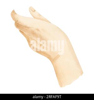 Elegant female hand holding template watercolor illustration. Realistic human body fragment clipart Stock Photo