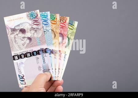 Botswana money - pula in the hand on a gray background Stock Photo