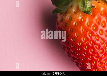 Close up of strawberry and copy space on pink background Stock Photo