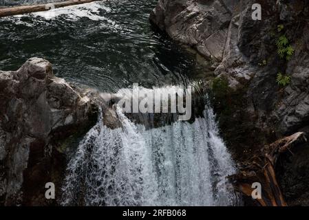 Little Qualicum River cutted a deep canyon in the rocks of the Eastern ...