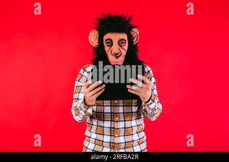 Man with chimpanzee monkey mask and checkered shirt, using a tablet, on red background. Stock Photo