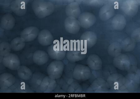 Abstract dark blue background. A sample with particles or cocoons. Blurry textured wallpaper. Copy space. Stock Photo