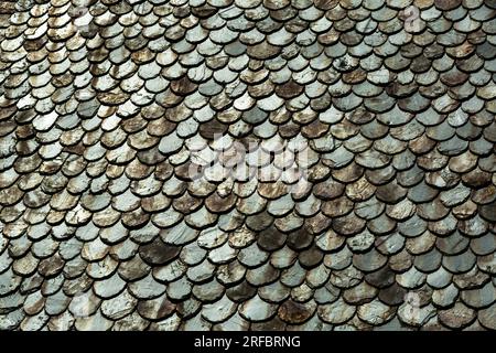 Traditional slate roof (lauze stone), Auvergne Volcanoes Natural Regional Park, Puy de Dome department, Auvergne Rhone Alpes, France Stock Photo
