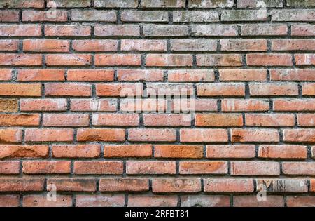 Grunge brick wall. Nice vintage textured background. Stock Photo