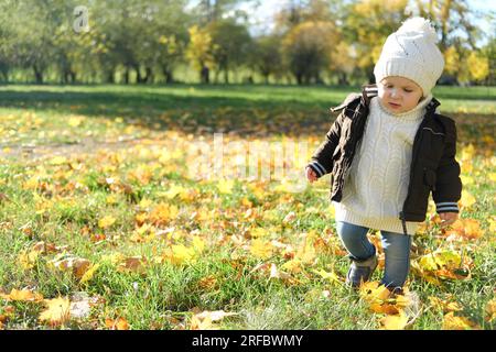 A little boy in warm clothes and a hat walks through the autumn park in sunny weather. Horizontal photo Stock Photo