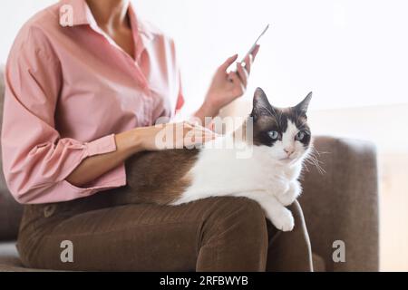 Cropped Shot Of Lady Using Smartphone While Stroking Cat Indoors Stock Photo
