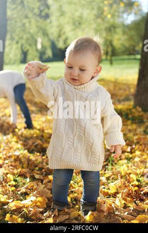 Little boy in a white knitted sweater plays with autumn leaves in the park. Vertical photo Stock Photo