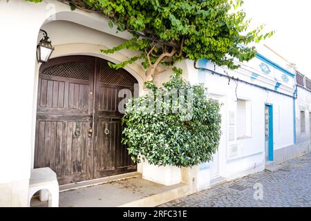 Facade with brown wooden door and covered by plants in Tavira city, Portugal Stock Photo