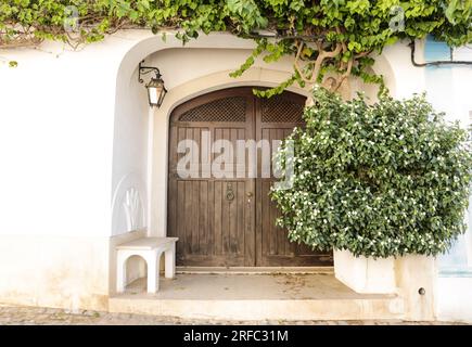 Facade with brown wooden door and covered by plants in Tavira city, Portugal Stock Photo