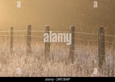 Simple fence bathed in golden light Stock Photo