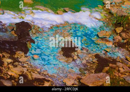 Blue-green alga, Cyanophyta, Myxophyceae during the flowering of the fresh reservoir. Film (blue-green blanket) on water from colonies of unicellular Stock Photo