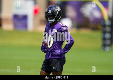 Baltimore Ravens wide receiver Tylan Wallace (16) makes a reception at the  sideline, but field judge James Coleman (95) watches Wallace's right foot  lift as the pass was caught, for an incomplete