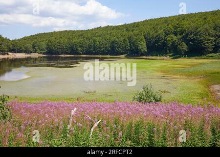 Lake Baccio in the Tuscan Emilian Apennines, Italy Stock Photo