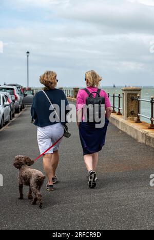 two older middle-aged ladies walking along a seaside path together with their dog on a windy day at the coast. Stock Photo