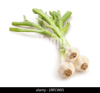 young garlic path isolated on white Stock Photo