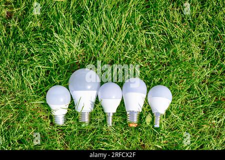 LED lamp bulb on green grass. Energy saving. Green energy. Stock Photo