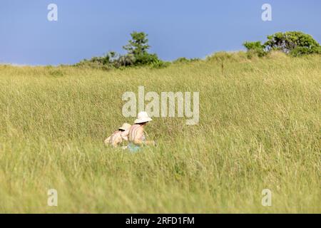 two women in bathing suits and hats walking through high grass at gin beach Stock Photo