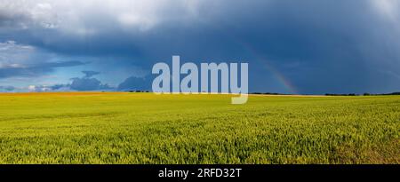 Panoramic view of a thunderstorm over agricultural land Stock Photo