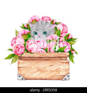 Fluffy gray cat in a box with peony flowers. Cute watercolor illustration on the theme of pets. Ready-made design for a poster, card, invitation, cong Stock Photo