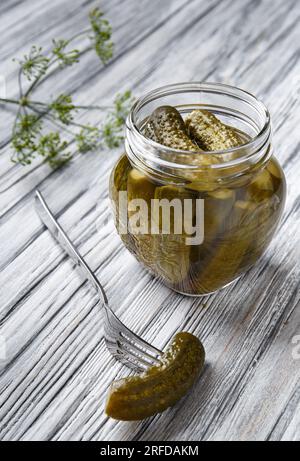 Homemade canned cucumbers in an open jar, one gherkin on a fork lies nearby on a gray textural background. Pickled cucumbers, canned vegetables Stock Photo
