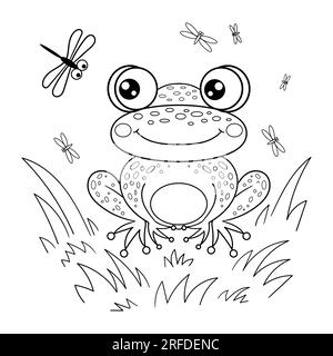Frog in the grass. Black and white drawing. Vector Stock Vector