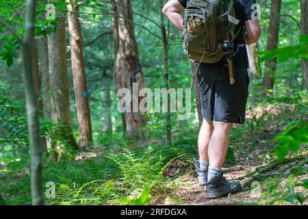 Hiker on a woodland trail, trail signs, natural background copy space image, active lifestyle Stock Photo