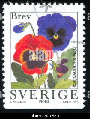 SWEDEN - CIRCA 1997: stamp printed by Sweden, shows Pansy, circa 1997 Stock Photo