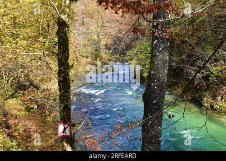 View of Radovna river at the entrance to Vintgar gorge near Bled in Gorenjska, Slovenia with the foliage in autumn colors Stock Photo