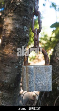 Big padlock hangs on a rusty chain against a background of on the background of an old tree. Soft selective focus Stock Photo